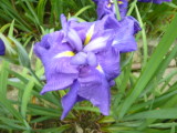 img0022.jpg