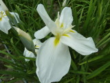 img0024.jpg
