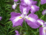 img0034.jpg