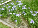 img0035.jpg