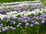 img0048.jpg