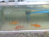 img0000.jpg