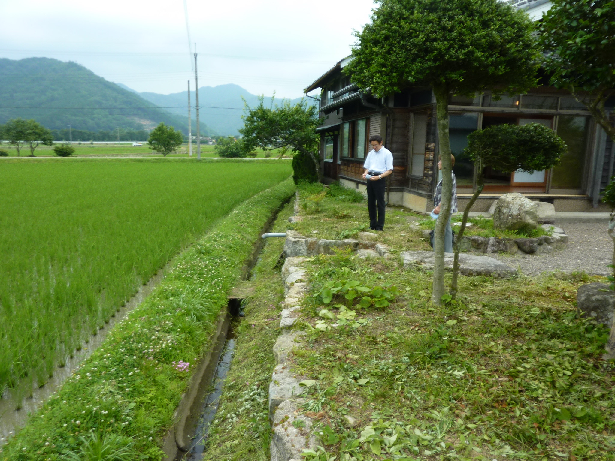 P1140166.JPG