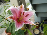 img0000.jpg