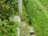 img0002.jpg