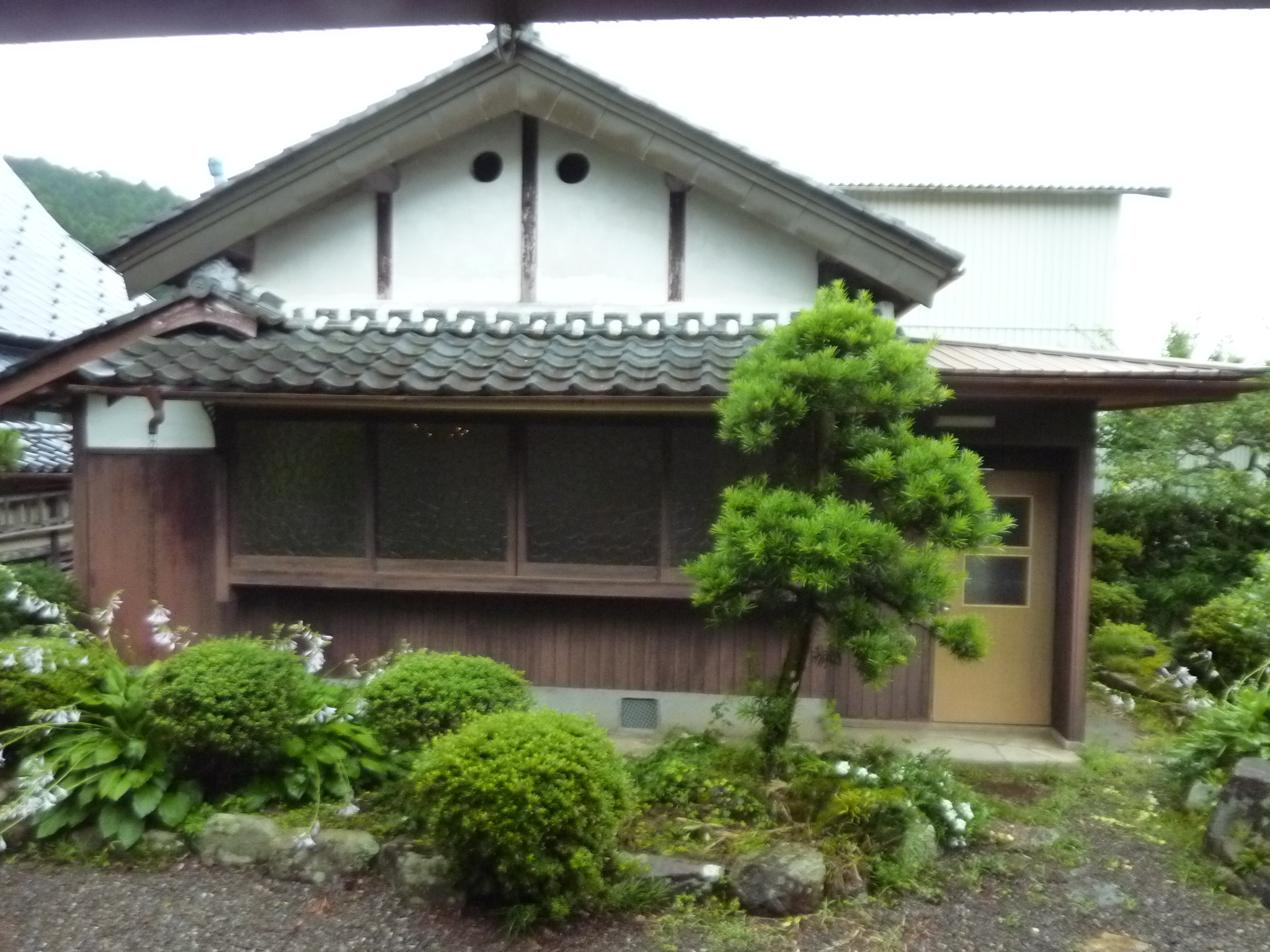 P1140216.JPG