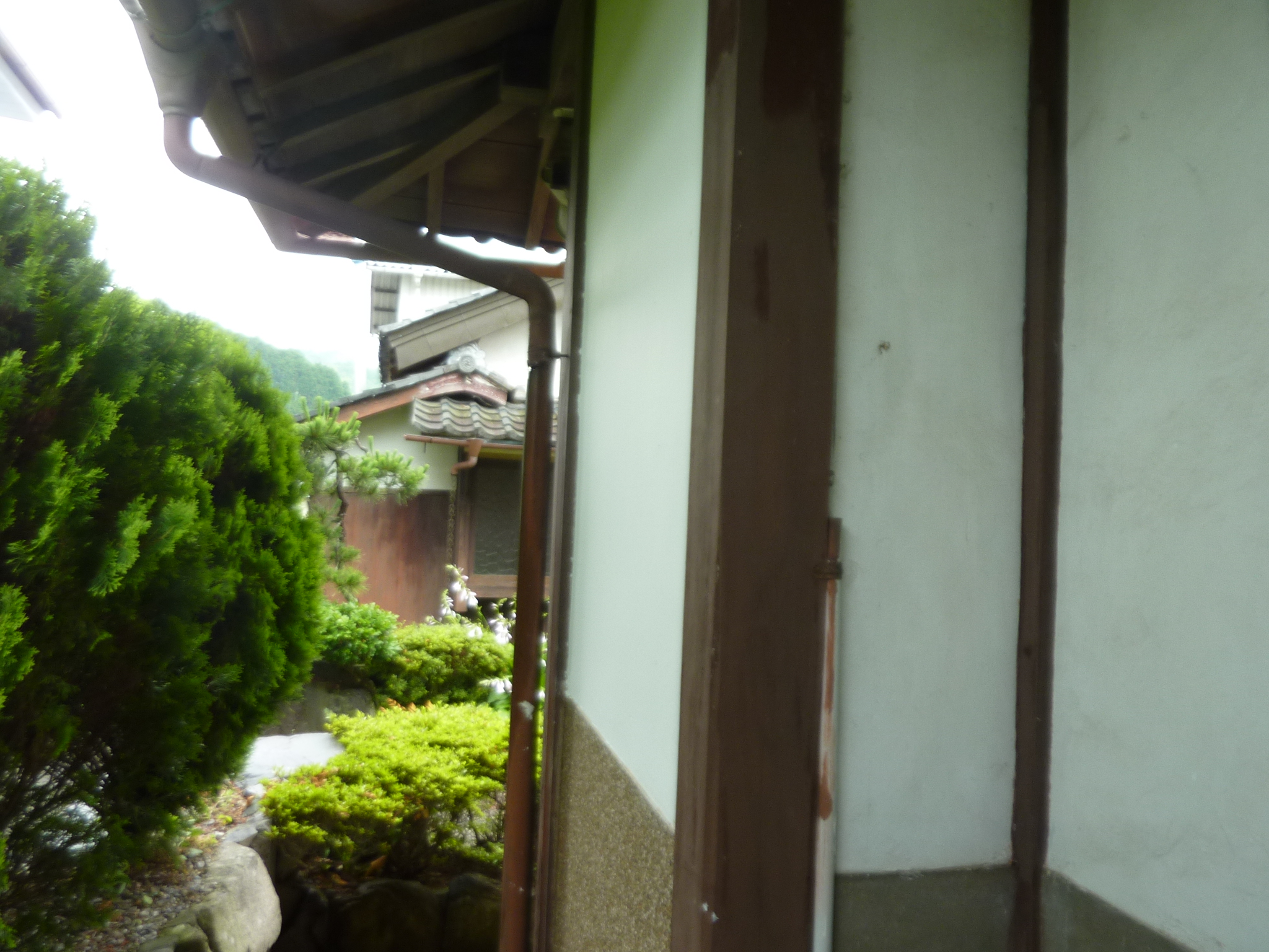 P1140251.JPG