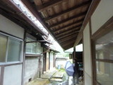 img0003.jpg