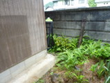 img0056.jpg