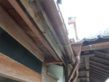 img0061.jpg