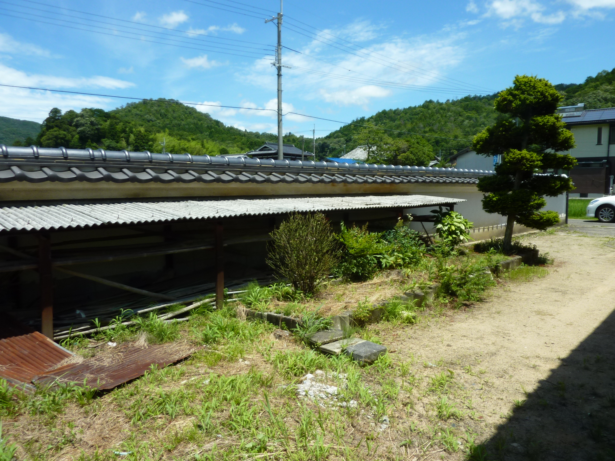 P1140306.JPG