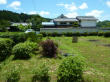 img0011.jpg