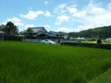 img0019.jpg