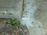 img0021.jpg