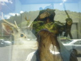 img0002.jpg