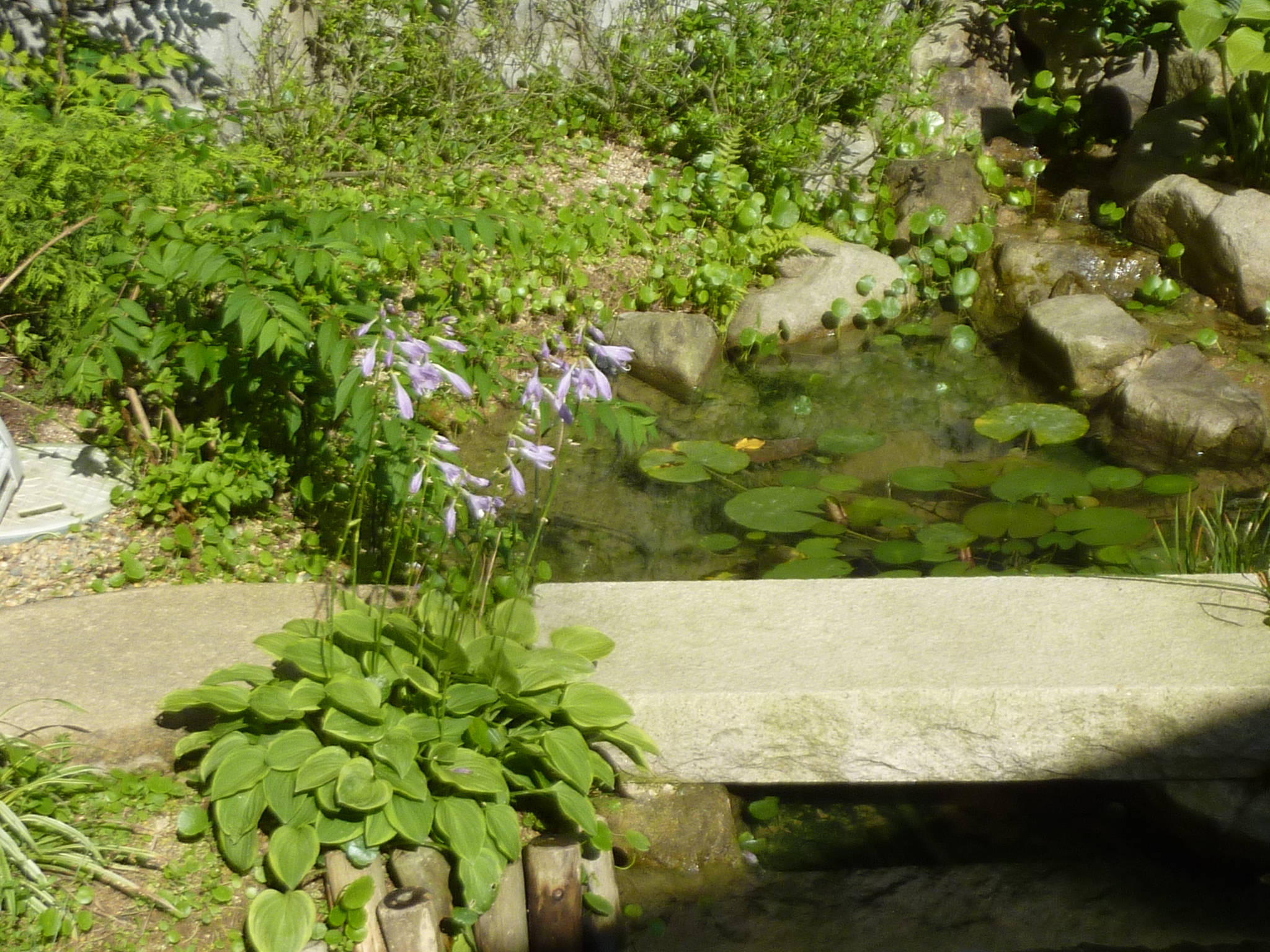 P1140334.JPG