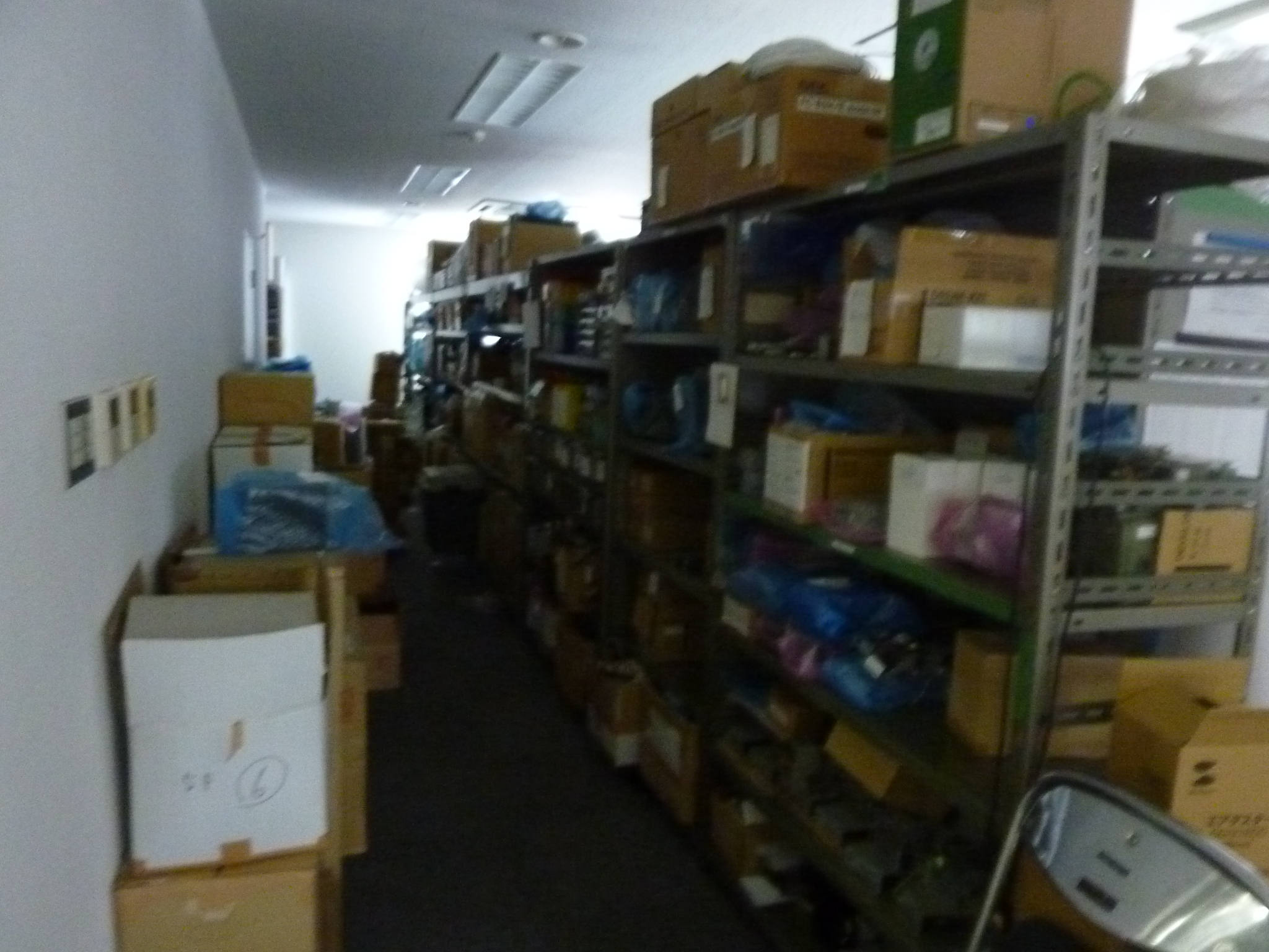 P1140342.JPG