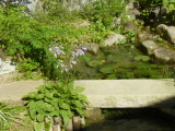 img0004.jpg