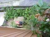 img0001.jpg