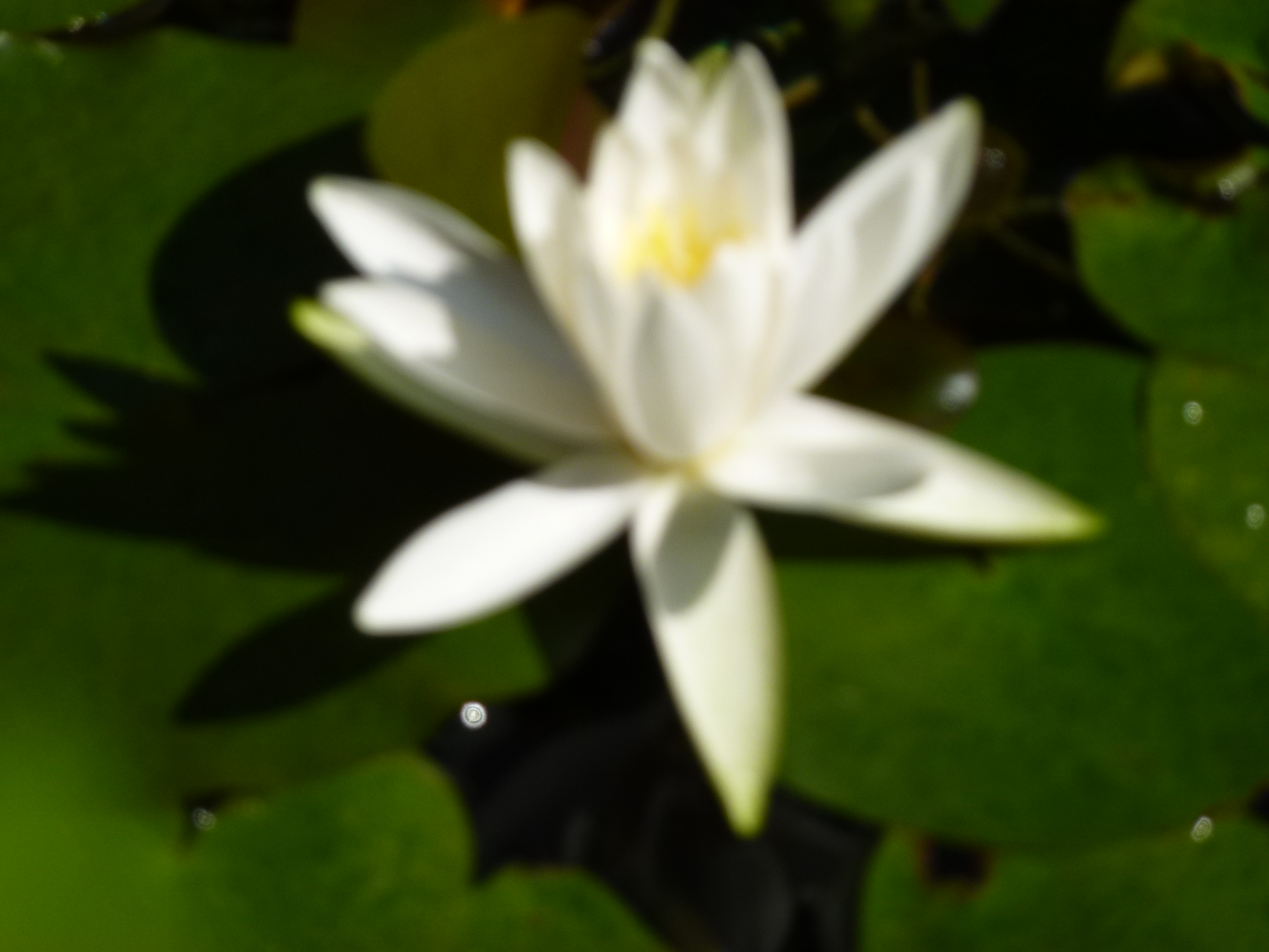P1000011.JPG