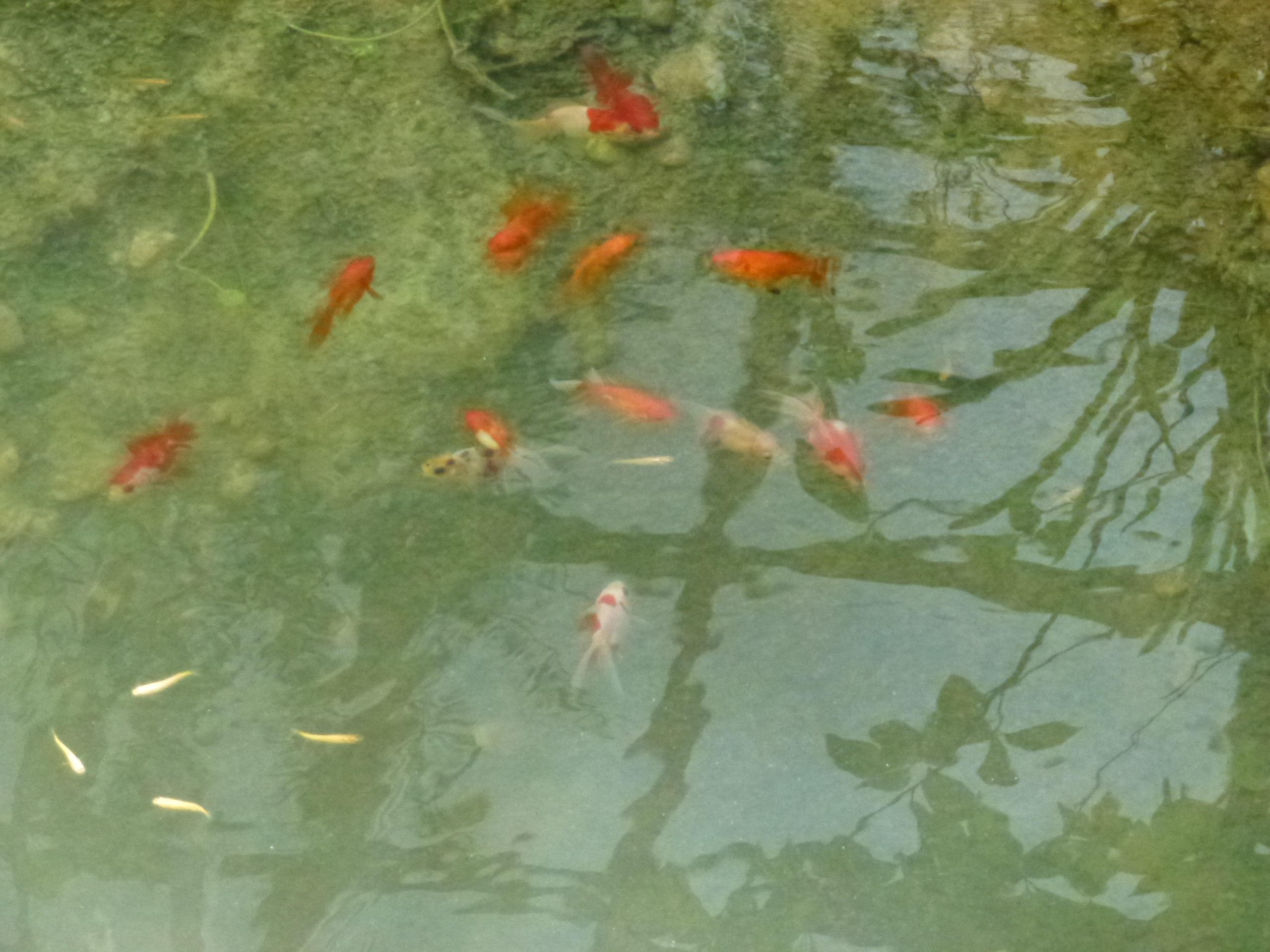 P1000012.JPG