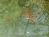 img0003.jpg