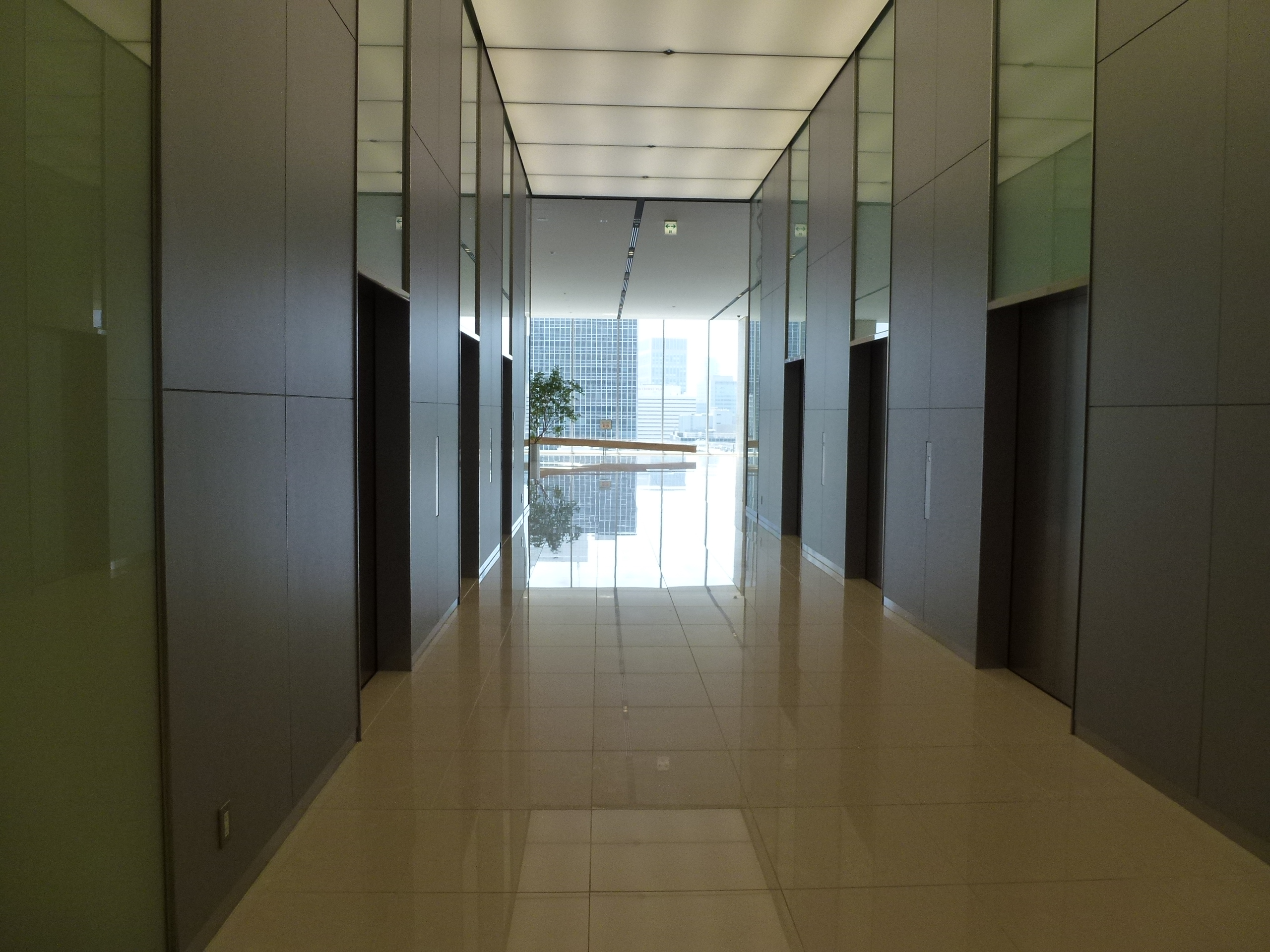 P1000073.JPG