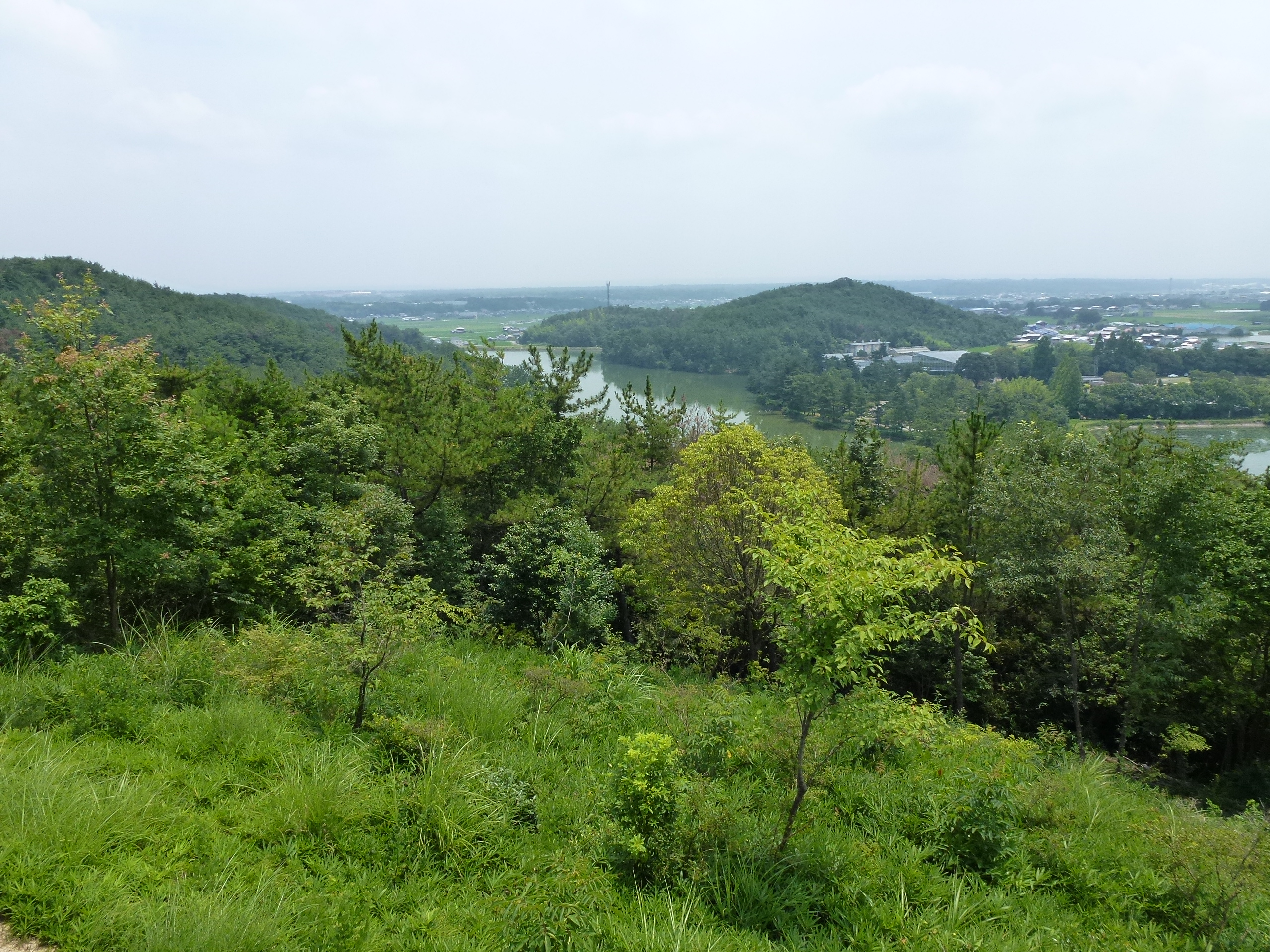 P1000095.JPG