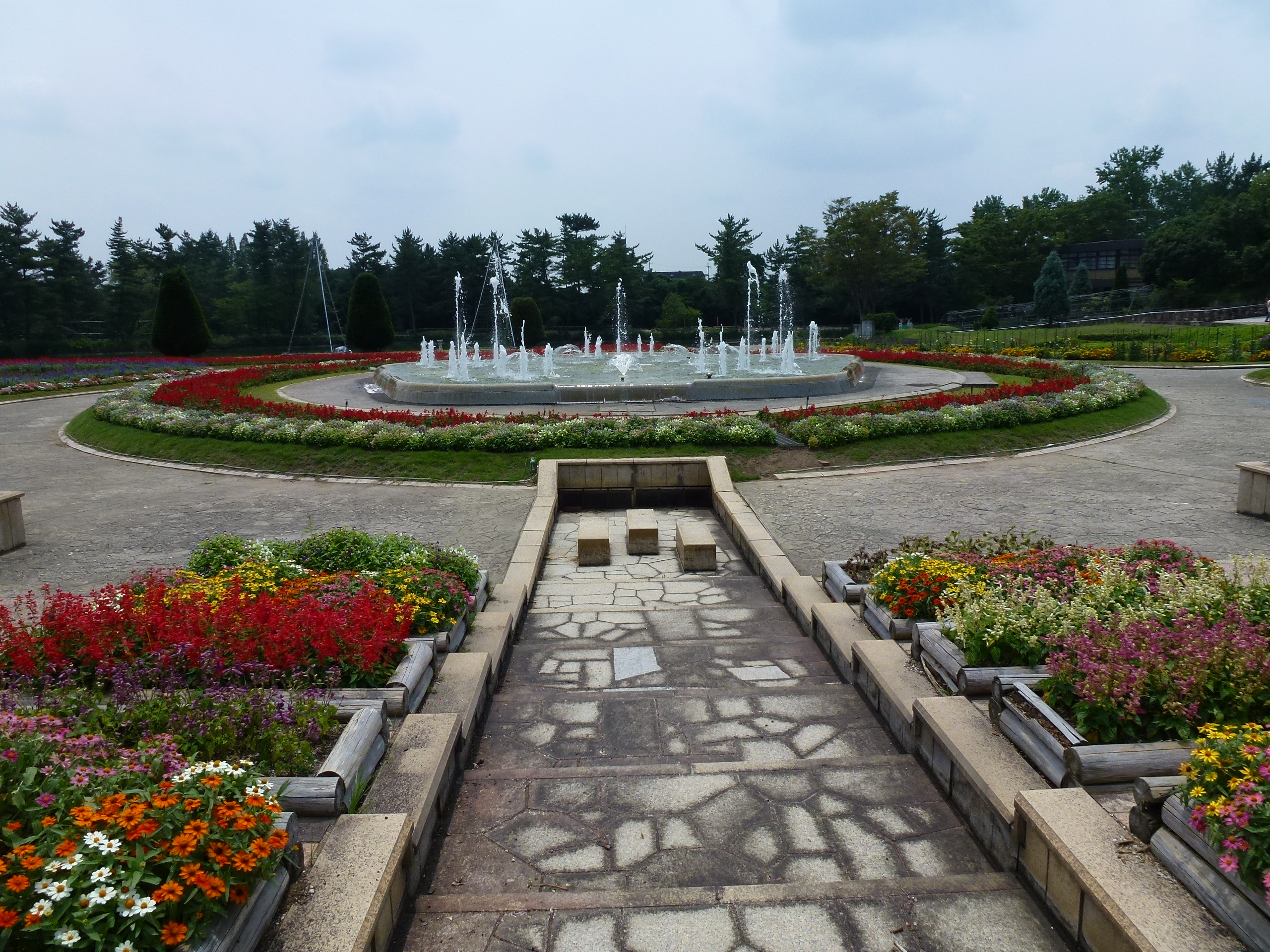 P1000100.JPG