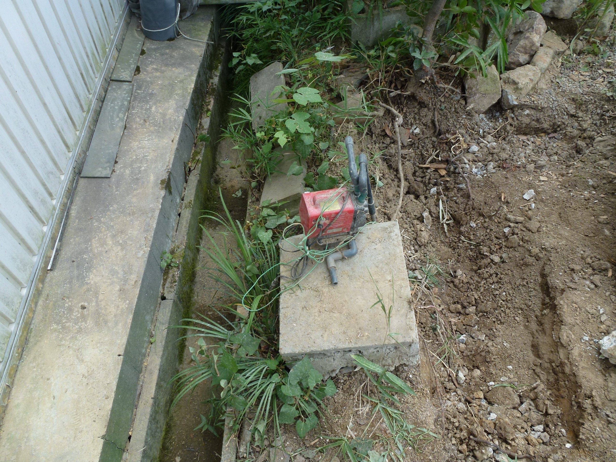 P1000112.JPG