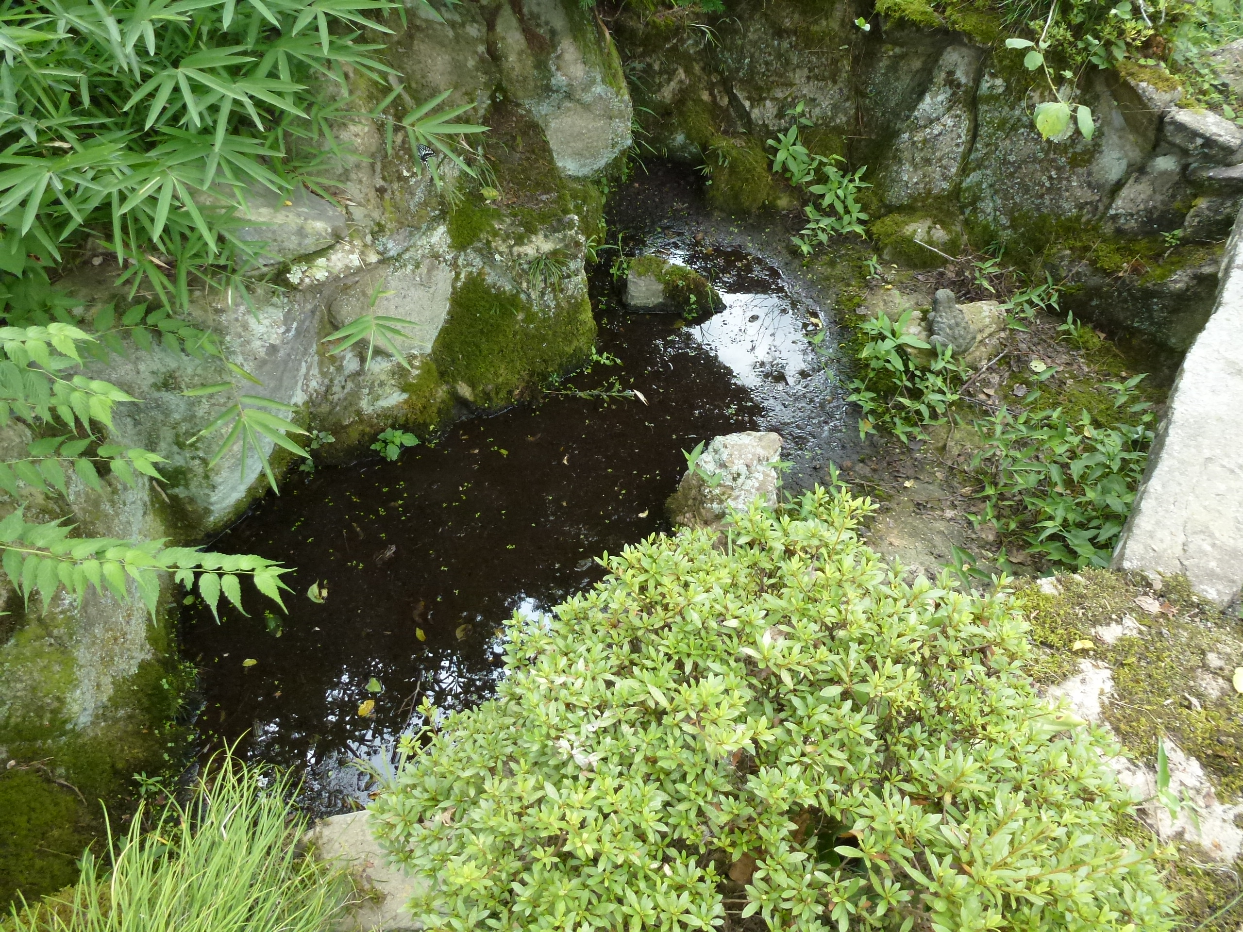 P1000117.JPG