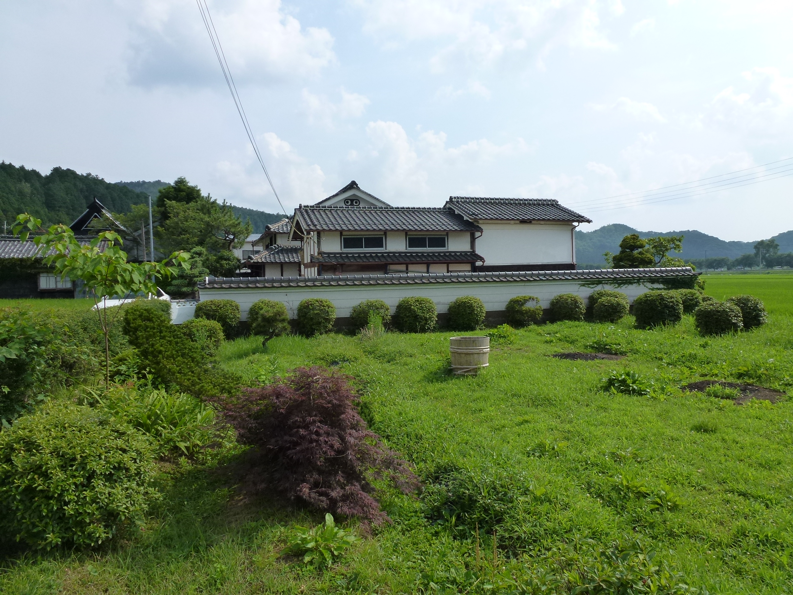 P1000132.JPG