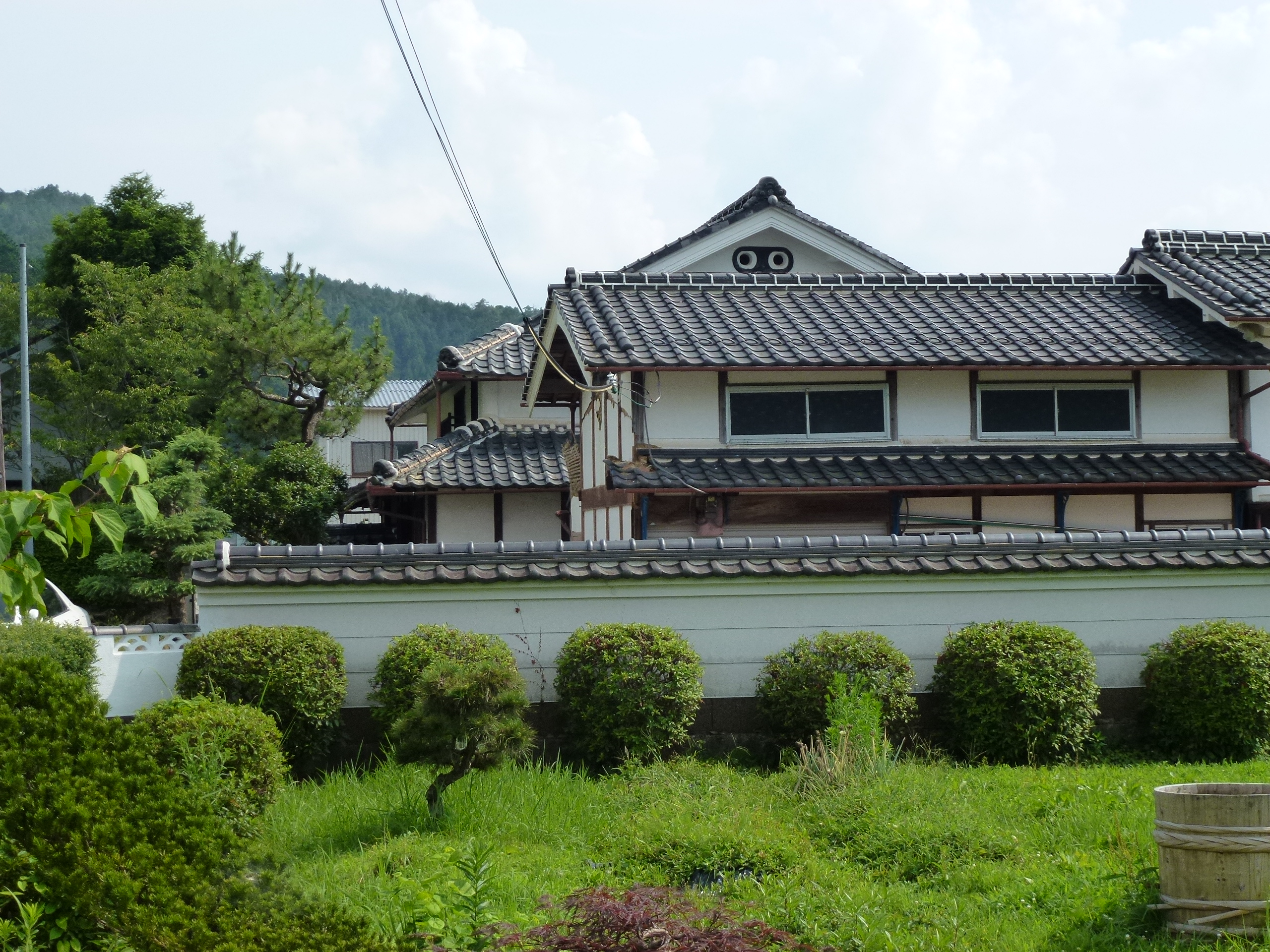 P1000133.JPG