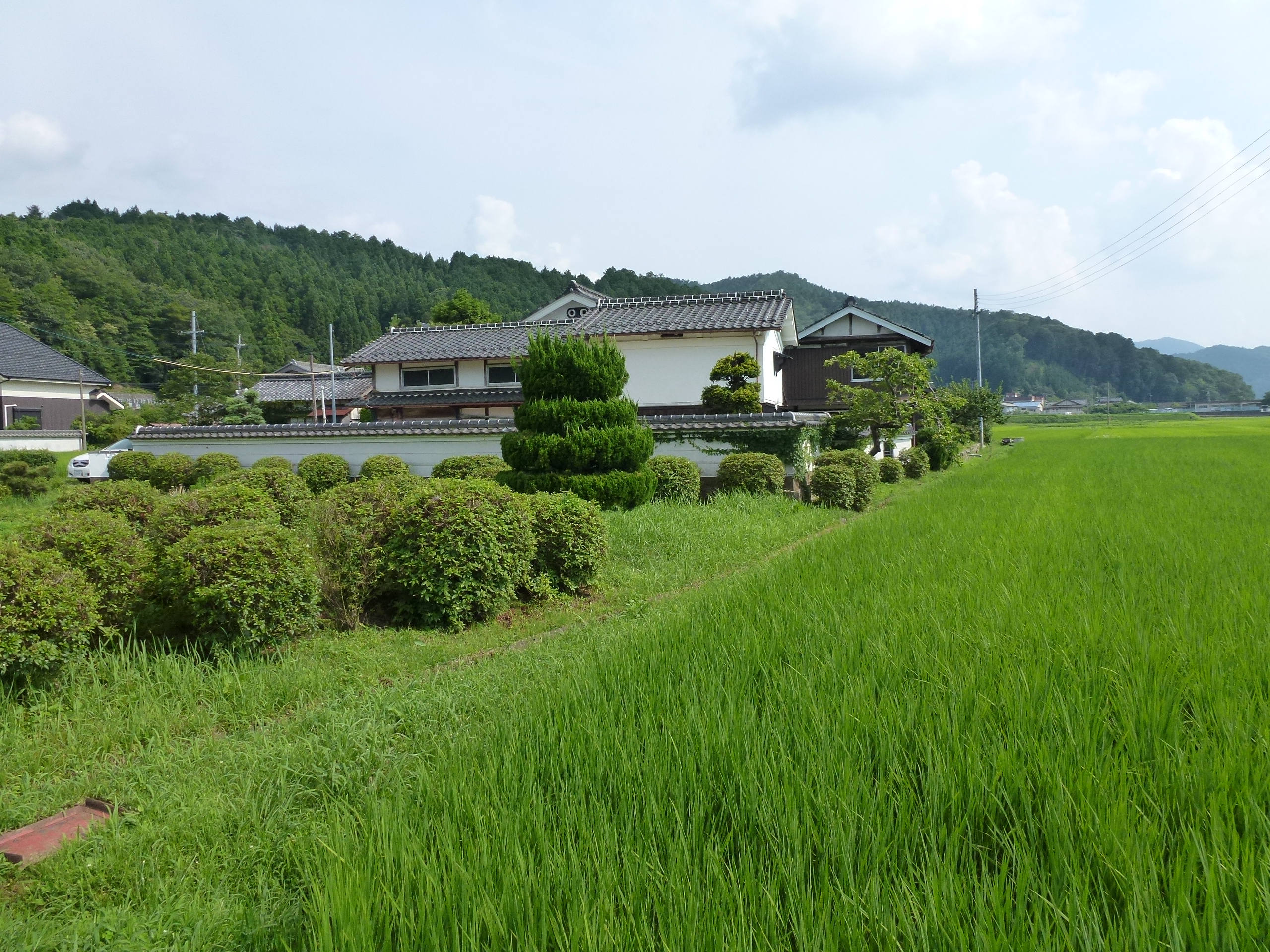 P1000134.JPG