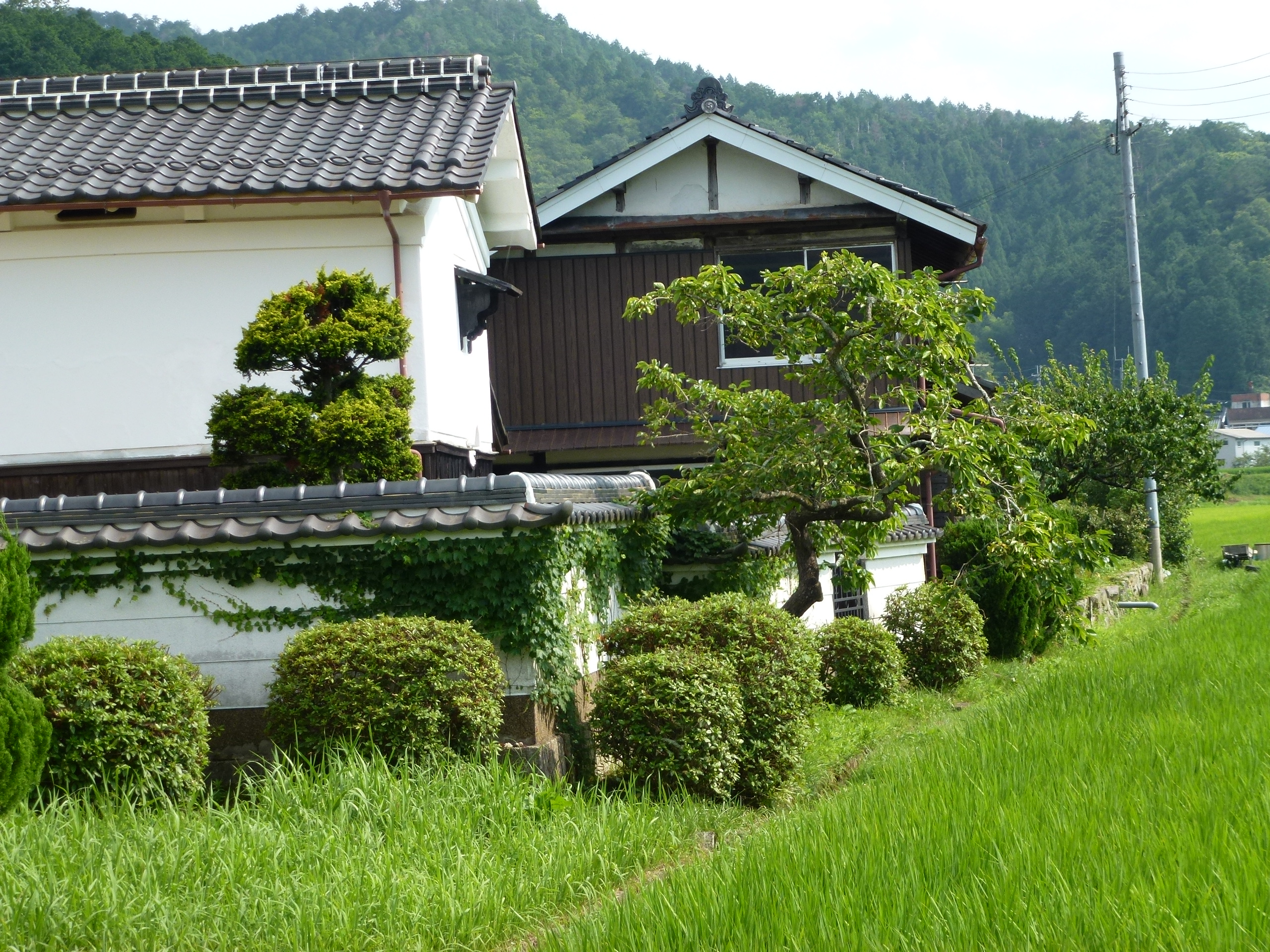 P1000135.JPG