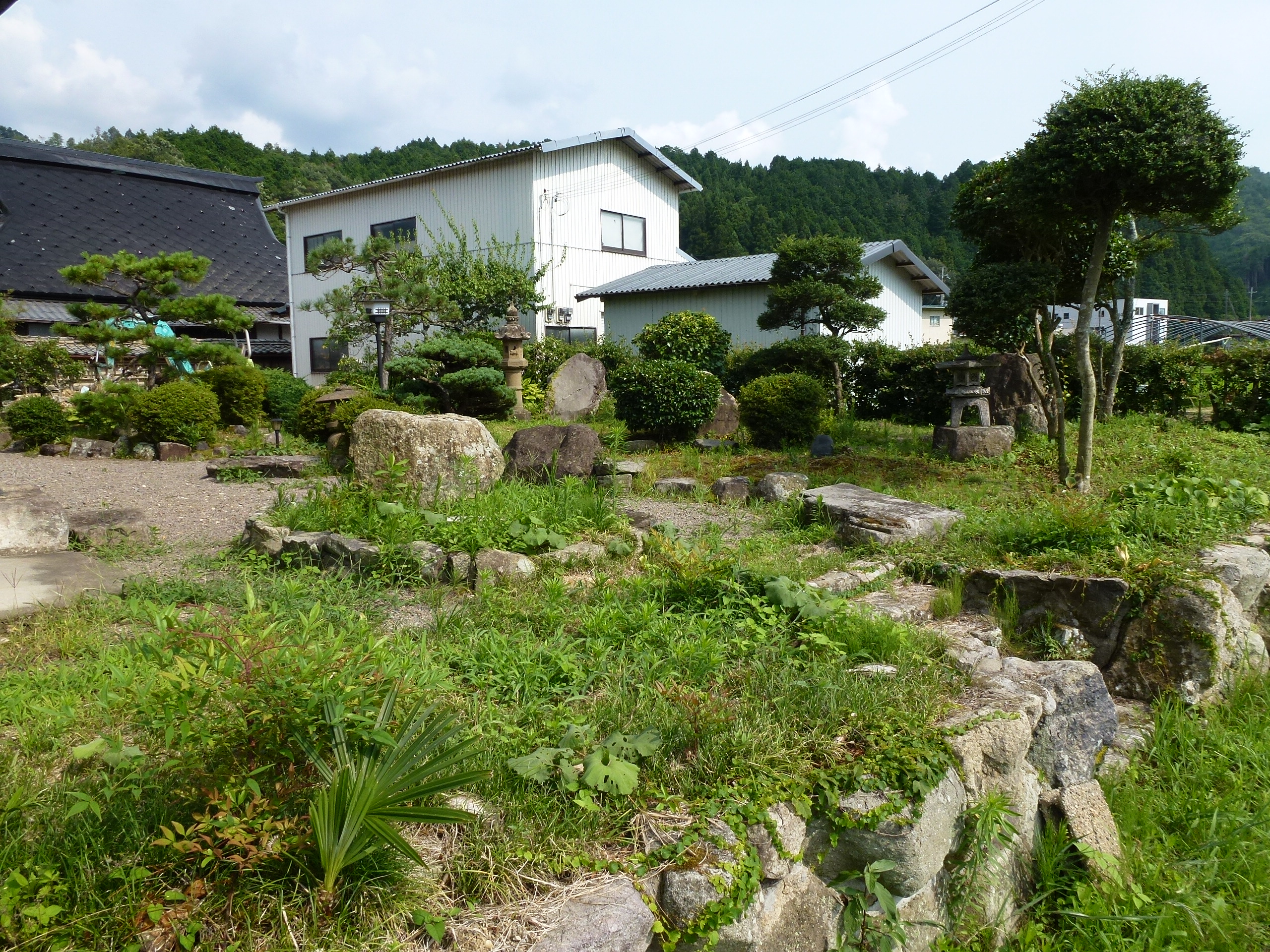 P1000141.JPG