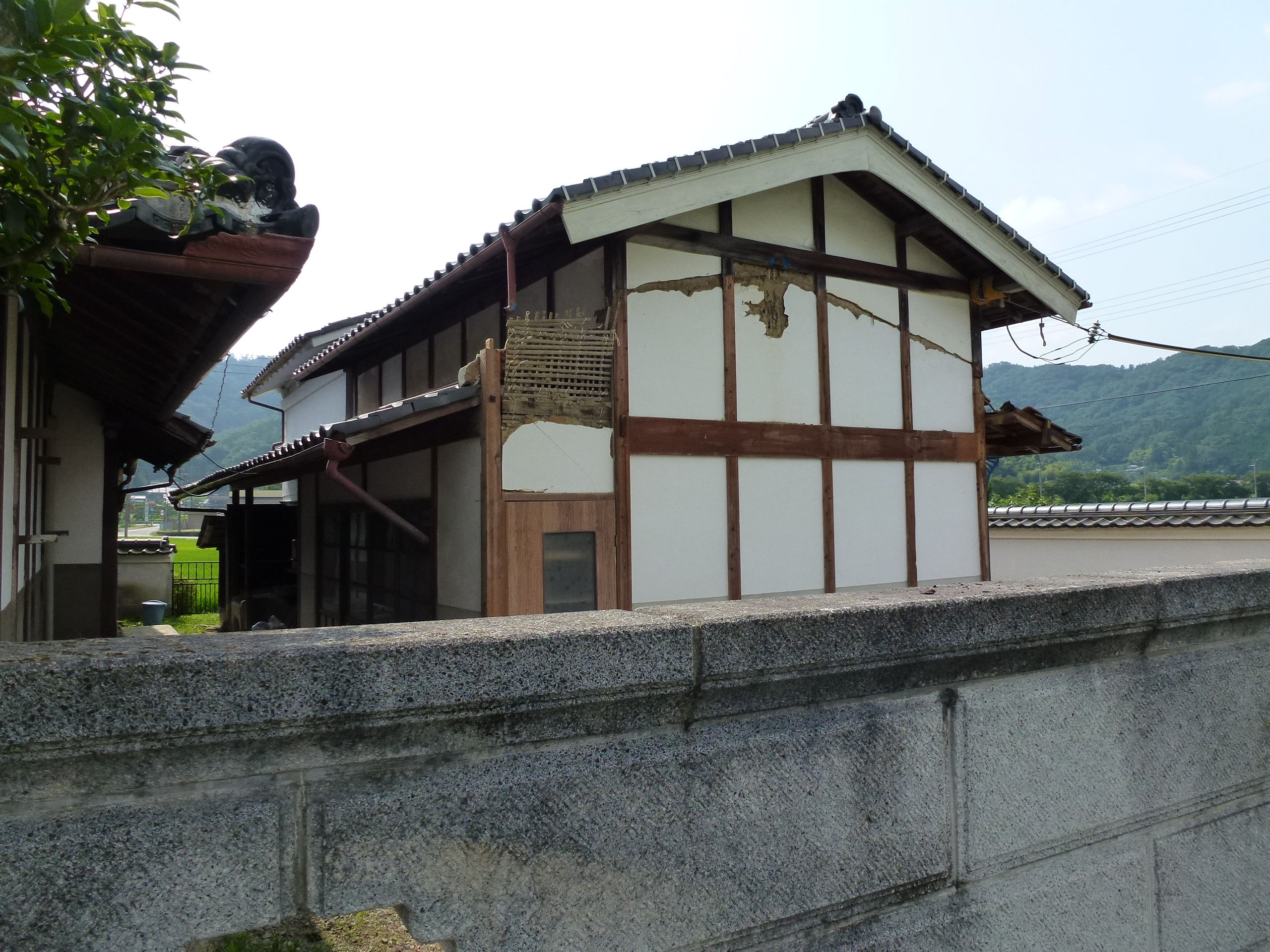 P1000142.JPG