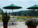 img0013.jpg