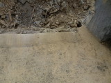 img0021.jpg