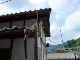 img0038.jpg