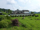 img0041.jpg