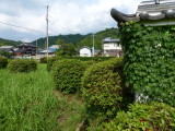 img0045.jpg