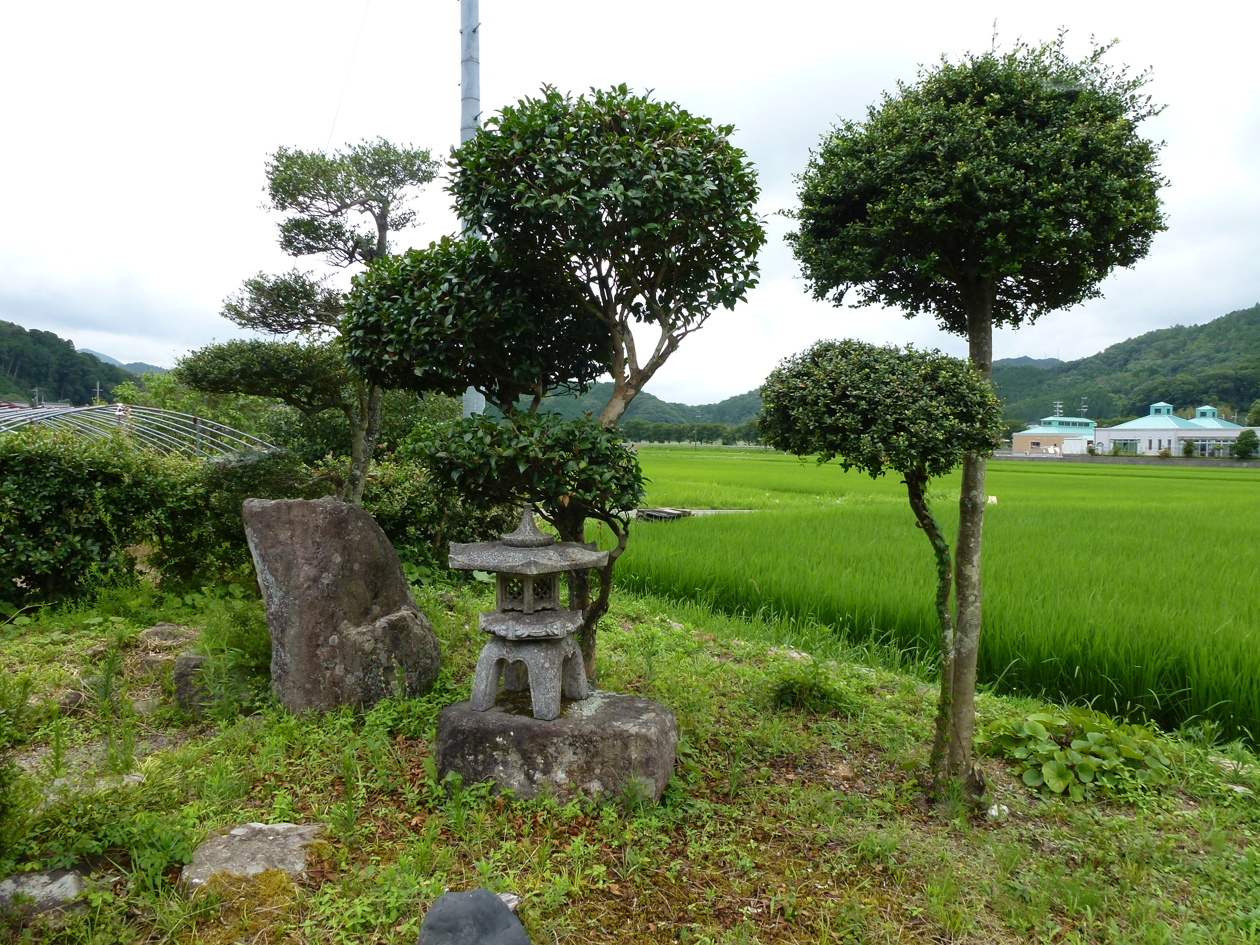 P1000145.JPG