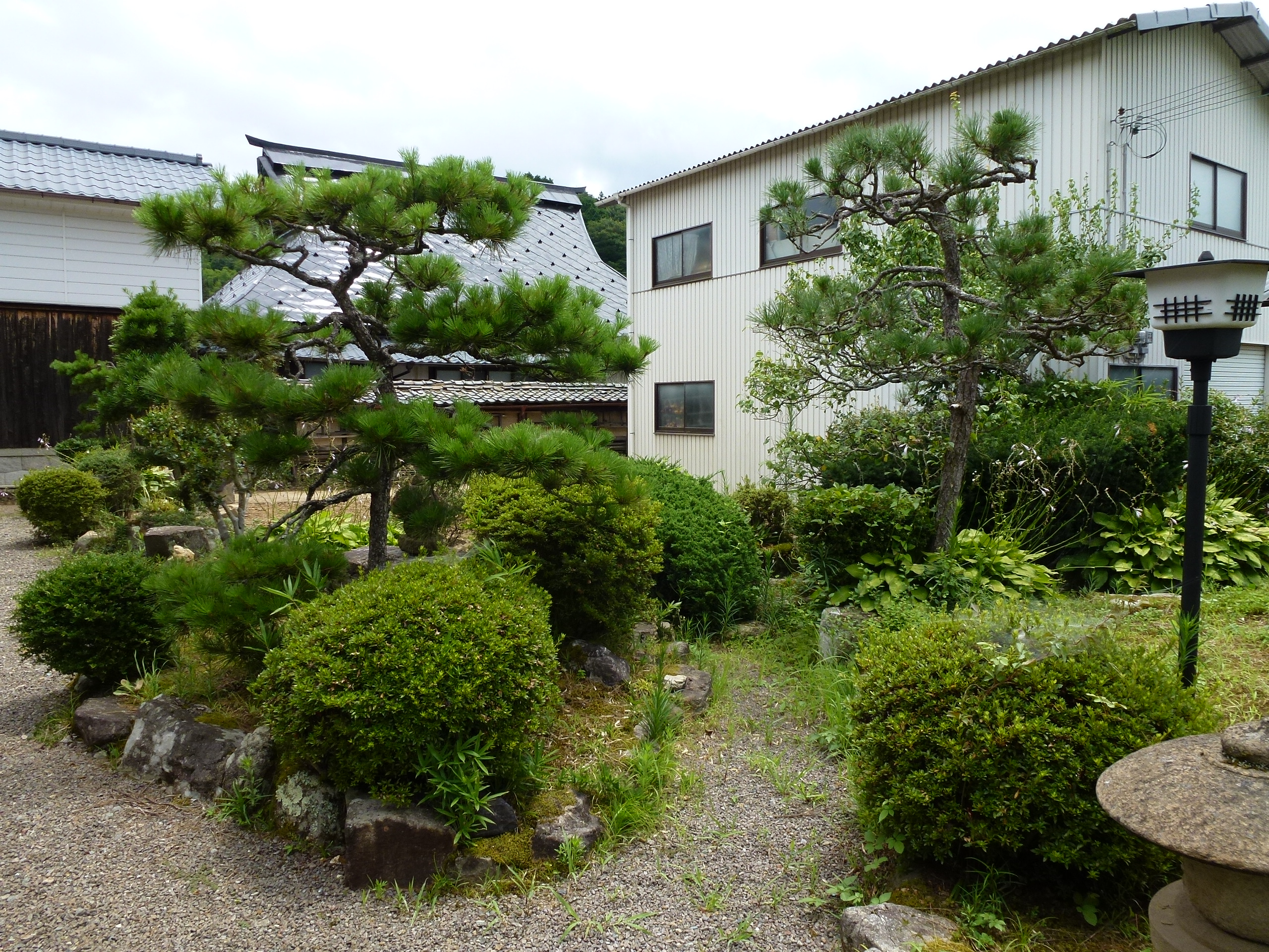 P1000149.JPG