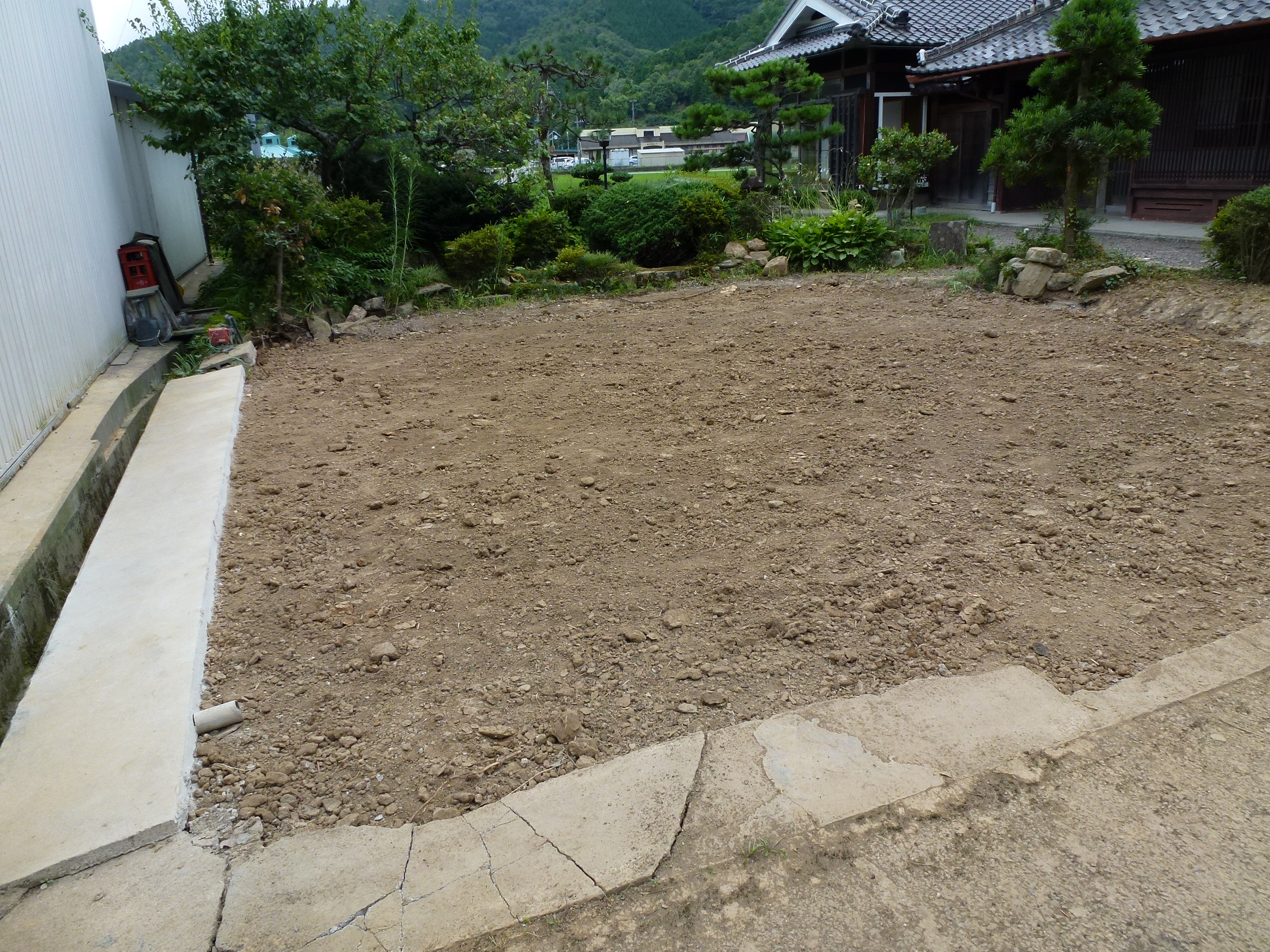 P1000151.JPG