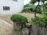 img0006.jpg