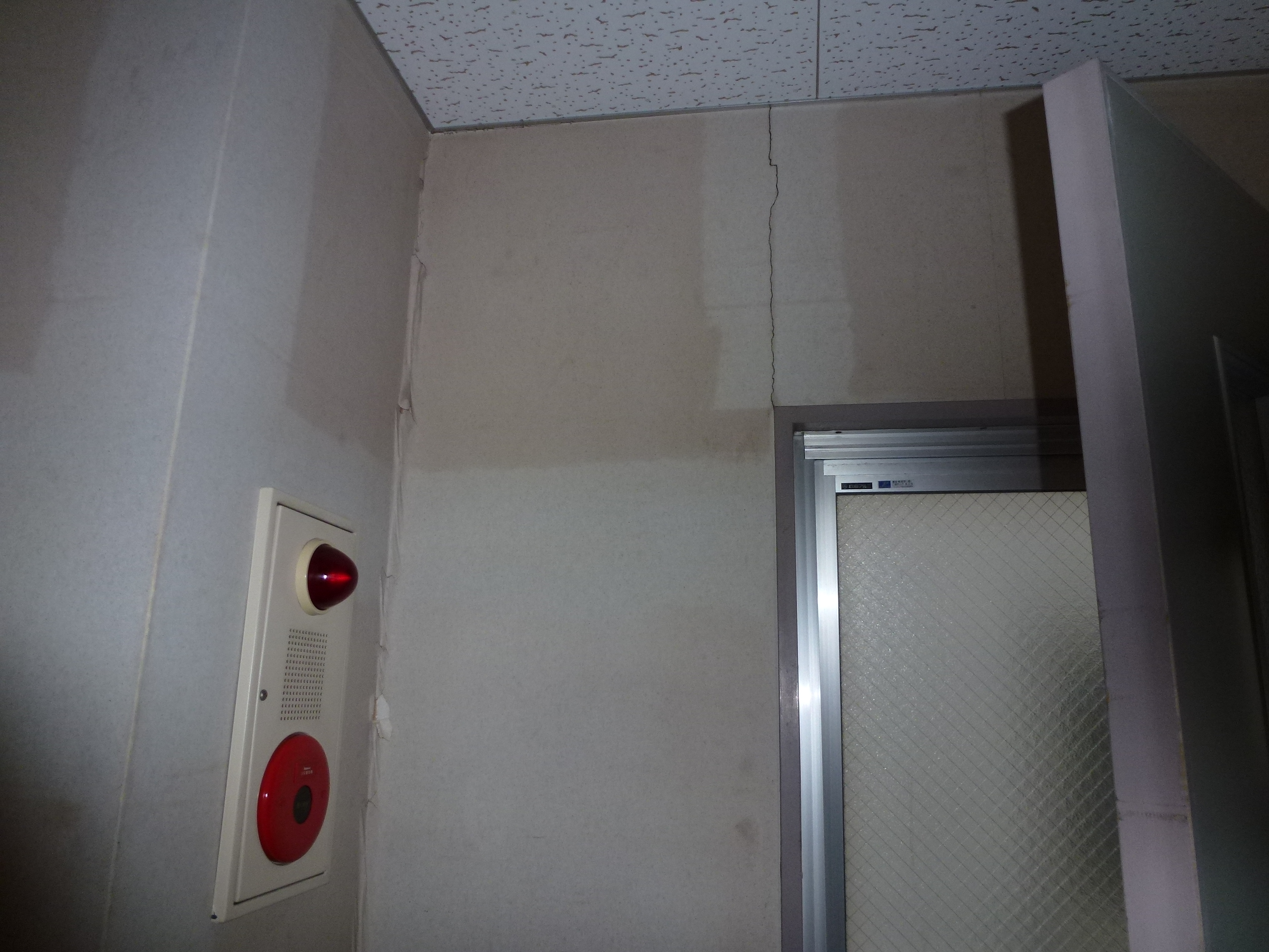 P1000196.JPG