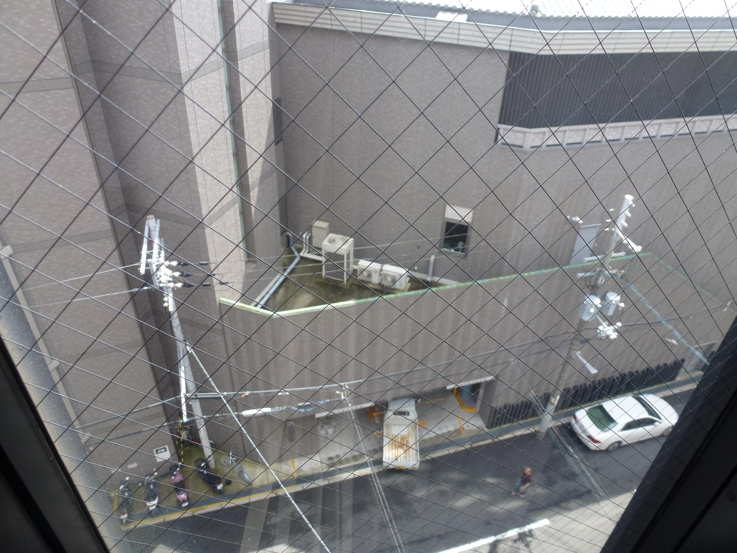 P1000200.JPG