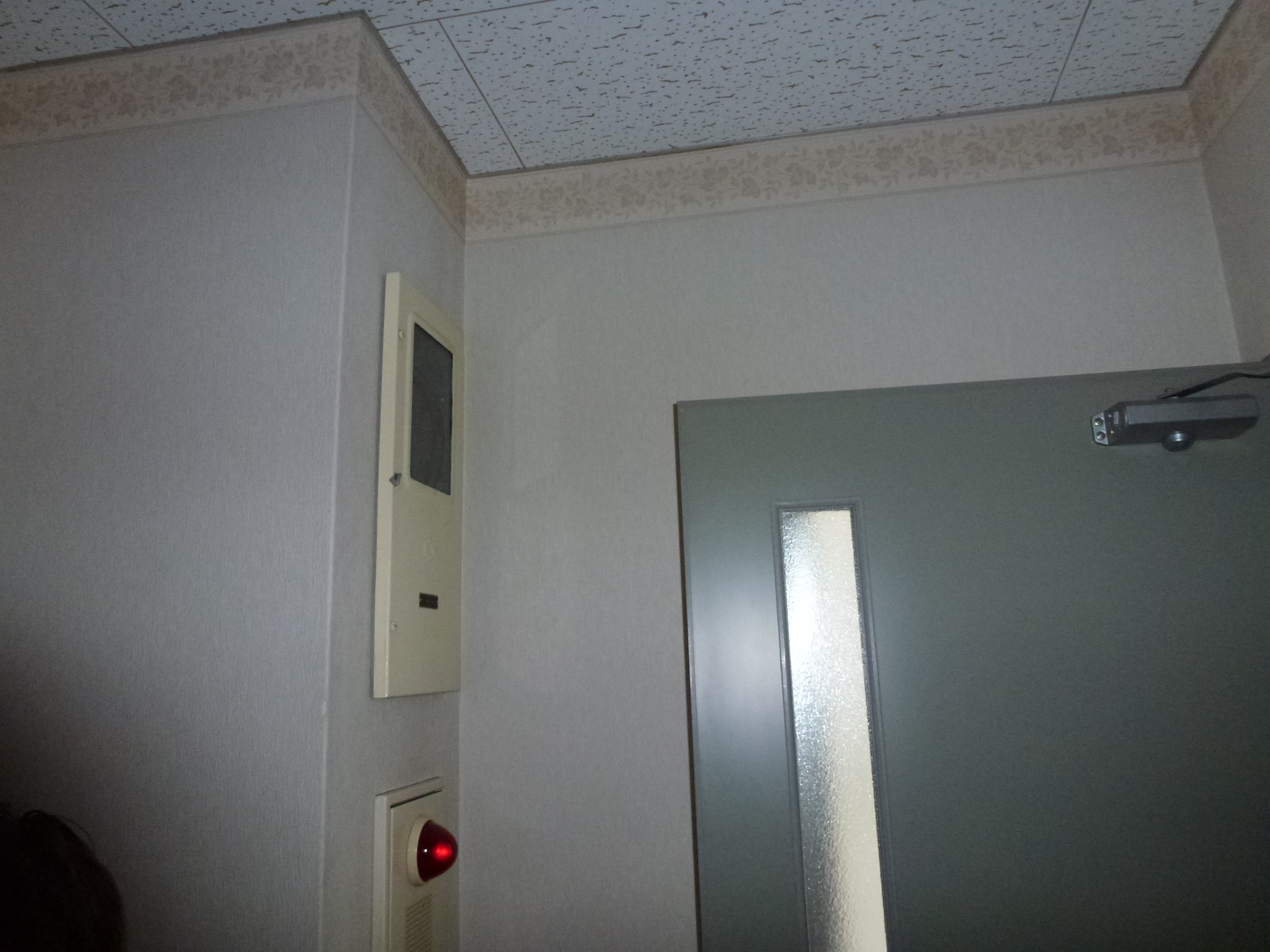 P1000201.JPG