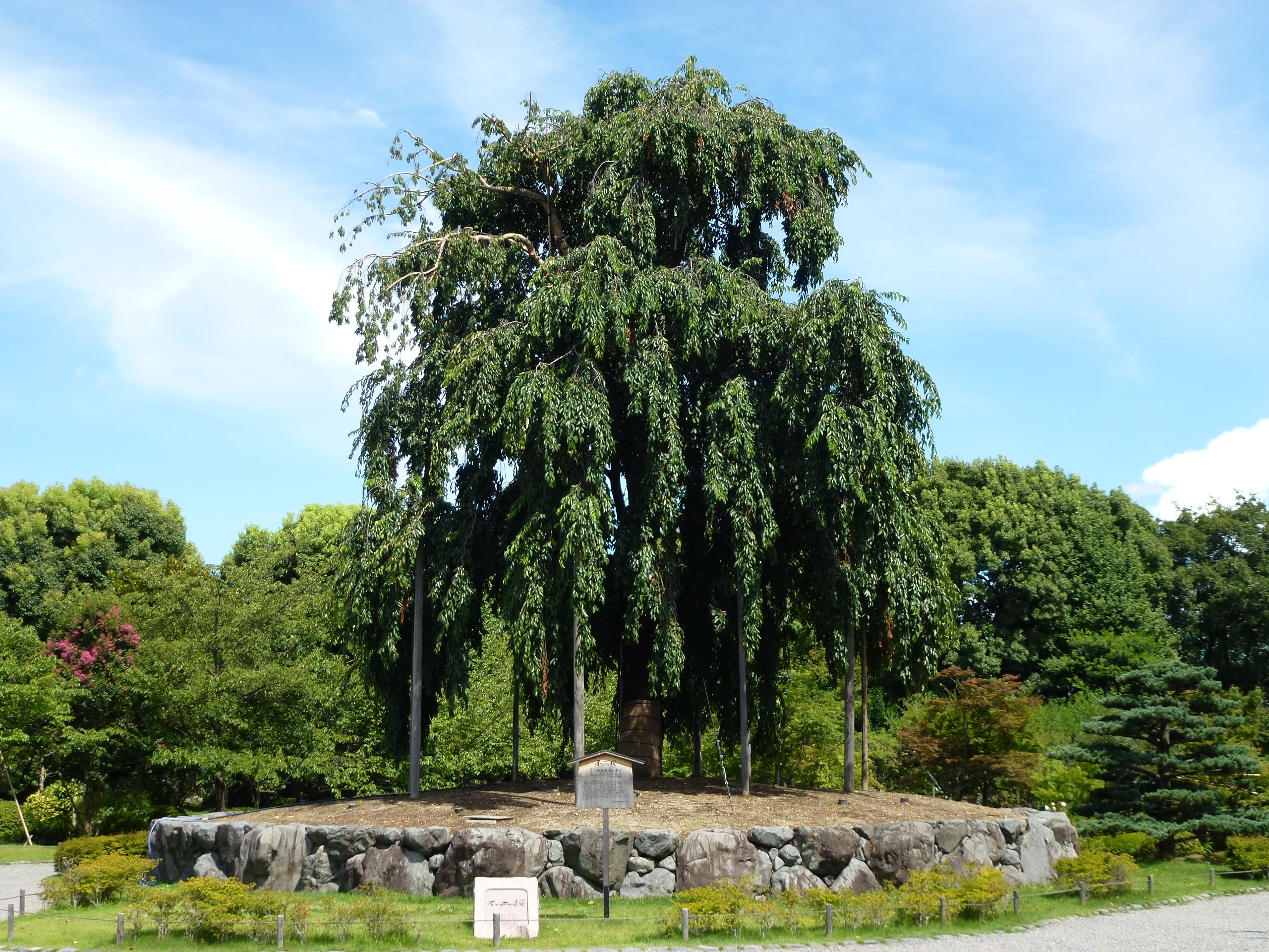 P1000224.JPG